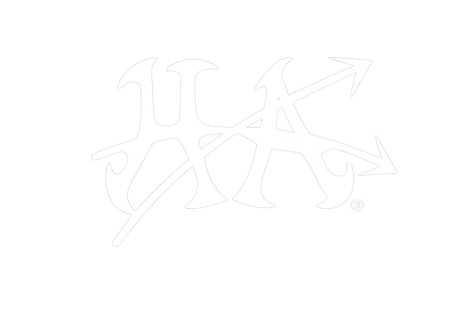 Heavyambitionsusa
